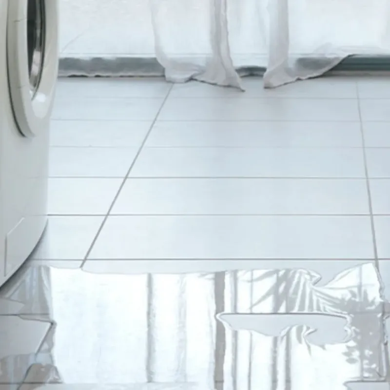 Appliance Leak Cleanup in Columbia County, WI