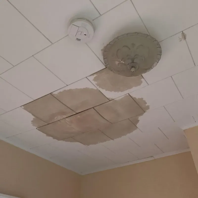 Ceiling Water Damage Repair in Columbia County, WI