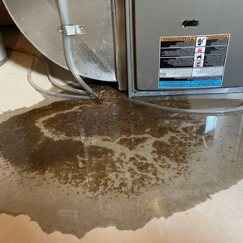 Pipe Burst and Leak Restoration in Columbia County, WI